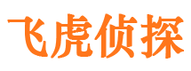 中原市侦探调查公司